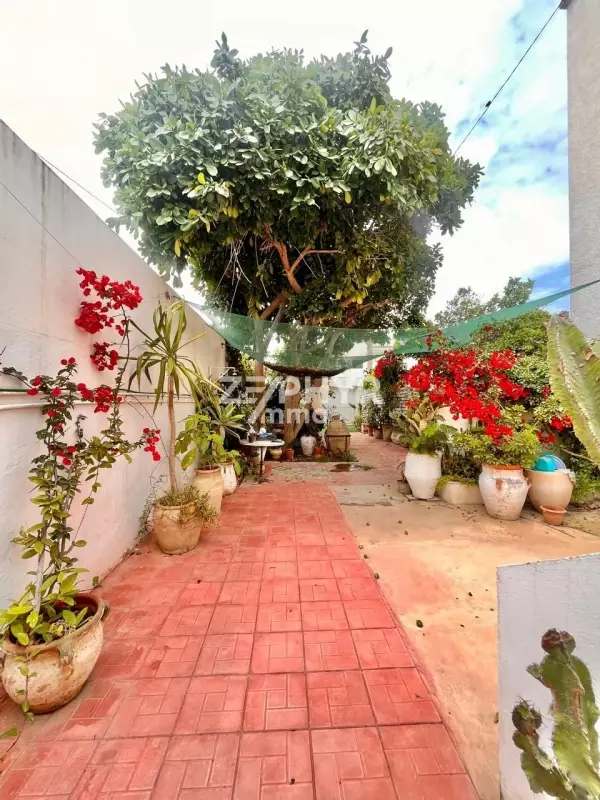 images