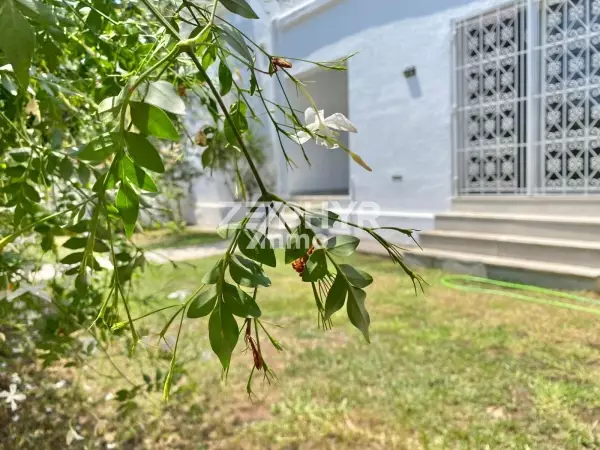 A louer RDC S3 vide avec jardin très bien situé à la Marsa